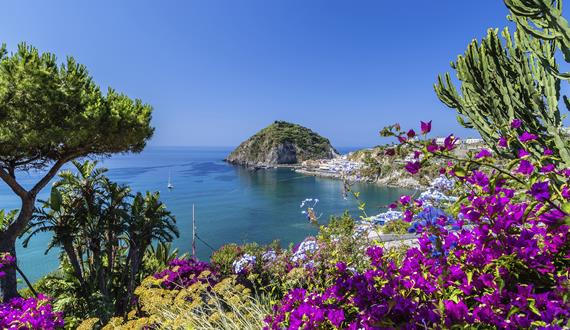 Ischia Island